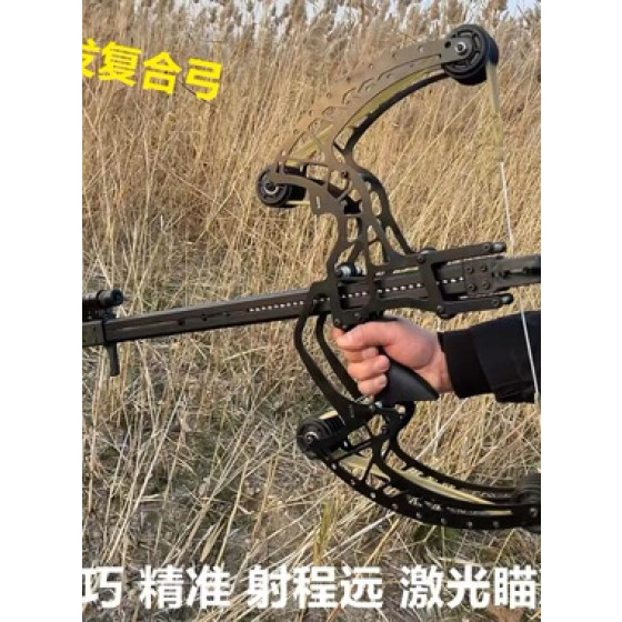 New Repeating Steel Ball Compound Bow